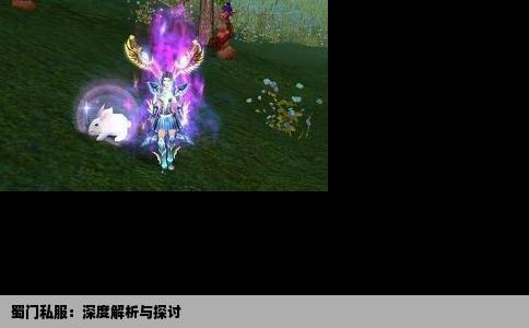 蜀门私服：深度解析与探讨