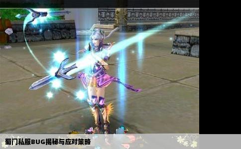 蜀门私服BUG揭秘与应对策略