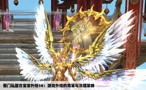 蜀门私服合宝宝外挂58：游戏外挂的危害与治理策略