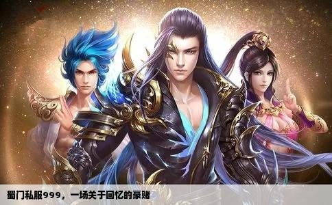 蜀门私服999，一场关于回忆的豪赌